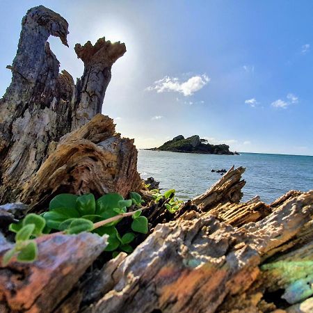 Goat Island Bungalow アルバーストン エクステリア 写真
