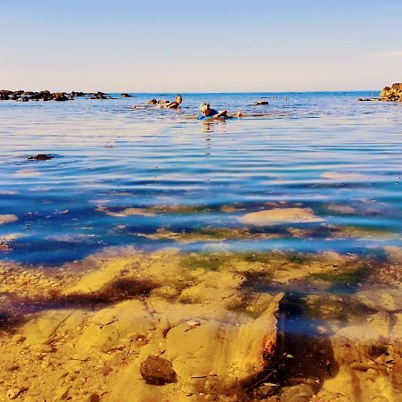 Goat Island Bungalow アルバーストン エクステリア 写真