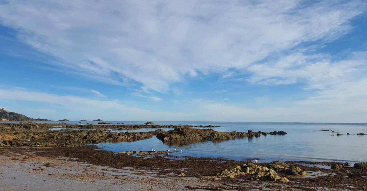 Goat Island Bungalow アルバーストン エクステリア 写真